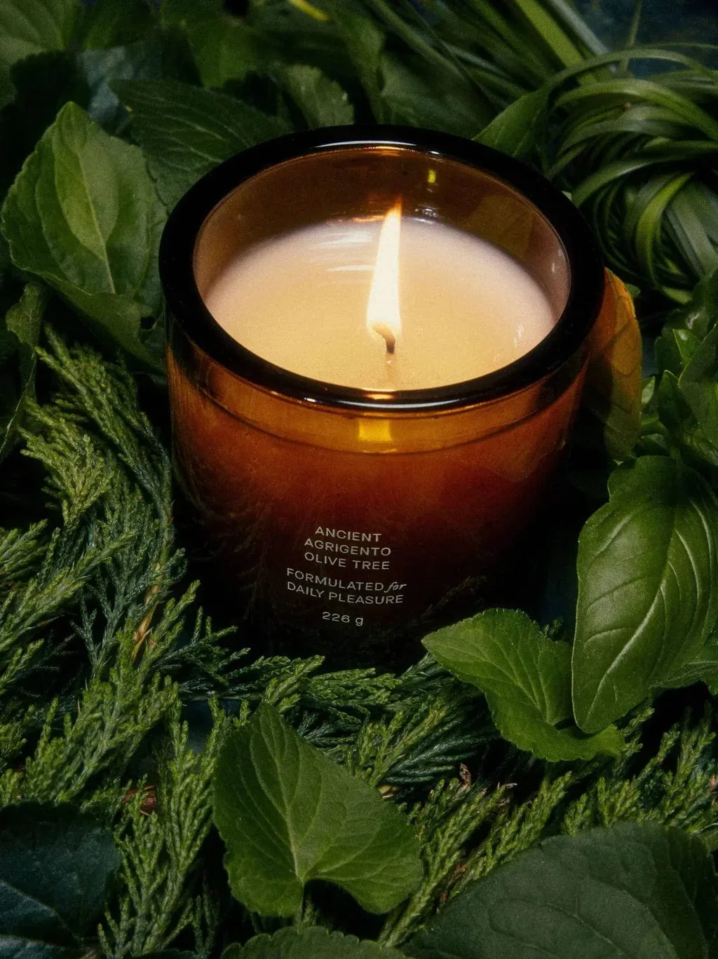 Flamingo Estate's Ancient Agrigento Olive Tree Candle