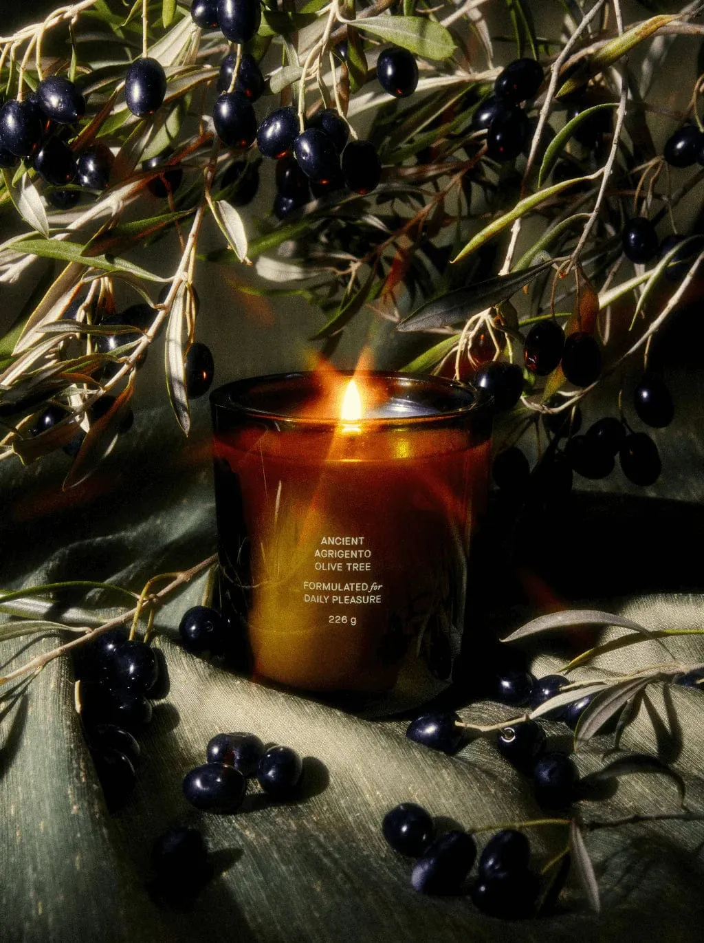 Flamingo Estate's Ancient Agrigento Olive Tree Candle