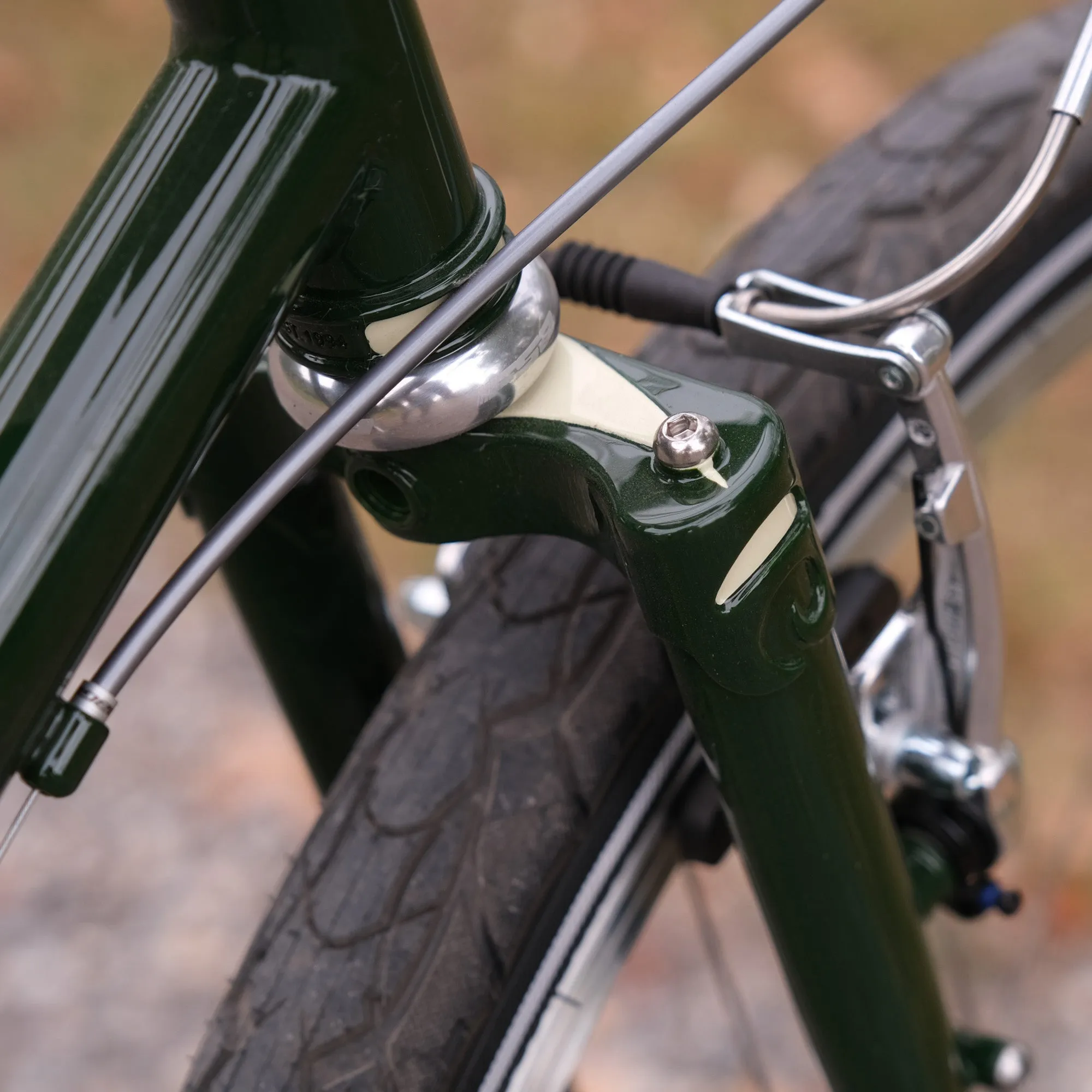 Rivendell Clem Smith L 52cm Complete Bike